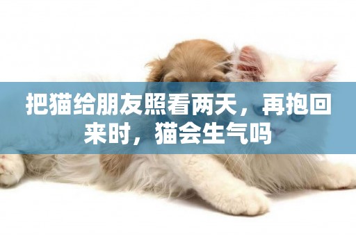 把貓給朋友照看兩天，再抱回來時，貓會生氣嗎