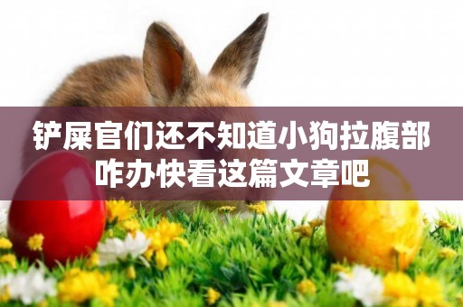 鏟屎官們還不知道小狗拉腹部咋辦快看這篇文章吧