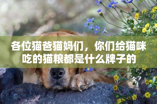 各位貓爸貓媽們，你們給貓咪吃的貓糧都是什么牌子的