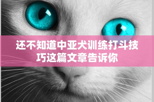 還不知道中亞犬訓練打斗技巧這篇文章告訴你