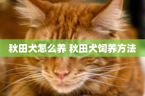 秋田犬怎么養 秋田犬飼養方法