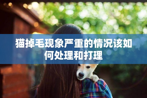 貓掉毛現象嚴重的情況該如何處理和打理
