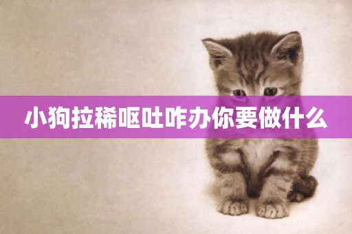 小狗拉稀嘔吐咋辦你要做什么