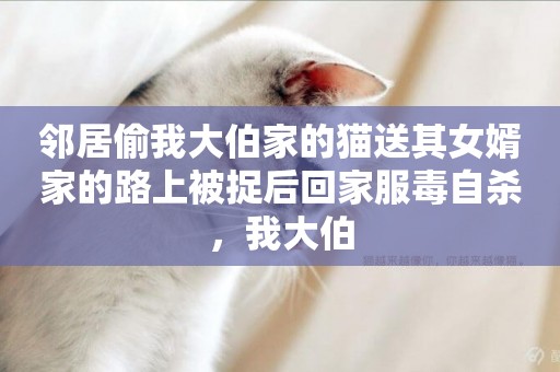 鄰居偷我大伯家的貓送其女婿家的路上被捉后回家服毒自殺，我大伯
