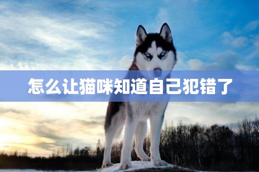 怎么讓貓咪知道自己犯錯了