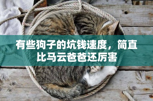 有些狗子的坑錢速度，簡直比馬云爸爸還厲害
