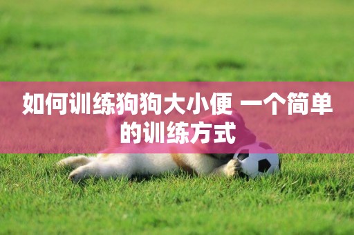 如何訓練狗狗大小便 一個簡單的訓練方式