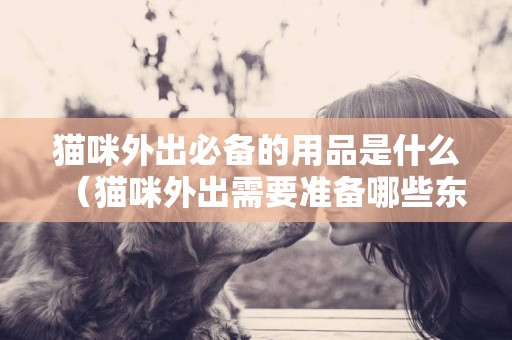 貓咪外出必備的用品是什么（貓咪外出需要準備哪些東西）
