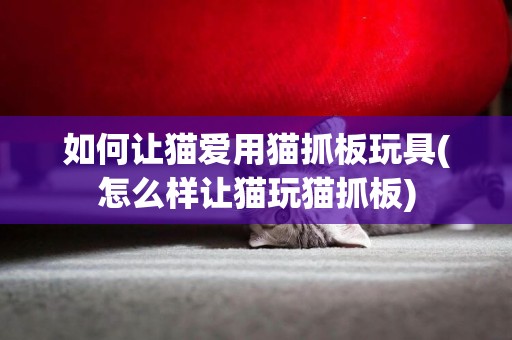 如何讓貓愛用貓抓板玩具(怎么樣讓貓玩貓抓板)