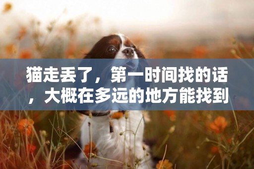 貓走丟了，第一時間找的話，大概在多遠的地方能找到
