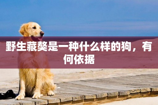 野生藏獒是一種什么樣的狗，有何依據
