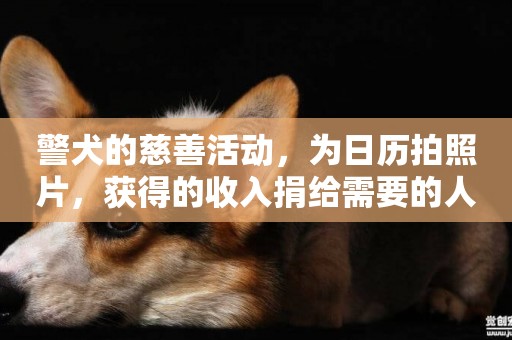 警犬的慈善活動，為日歷拍照片，獲得的收入捐給需要的人