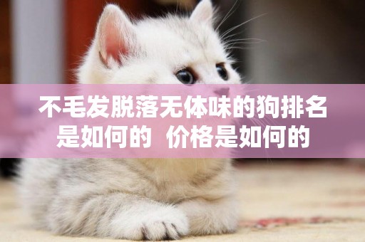 不毛發脫落無體味的狗排名是如何的  價格是如何的