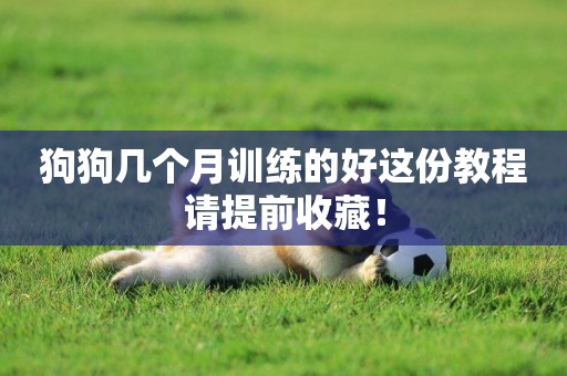 狗狗幾個月訓練的好這份教程請提前收藏！