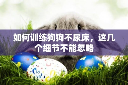 如何訓練狗狗不尿床，這幾個細節不能忽略