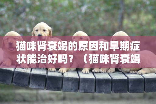 貓咪腎衰竭的原因和早期癥狀能治好嗎？（貓咪腎衰竭一般能堅持多長時間多久會死）