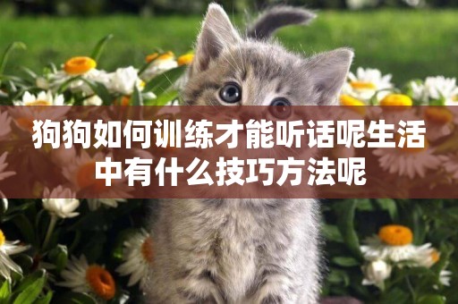 狗狗如何訓練才能聽話呢生活中有什么技巧方法呢