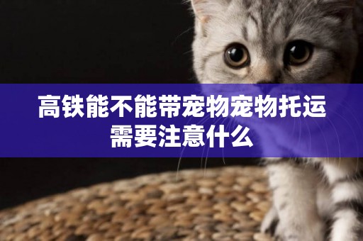 高鐵能不能帶寵物寵物托運需要注意什么