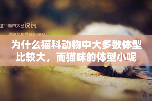 為什么貓科動物中大多數體型比較大，而貓咪的體型小呢