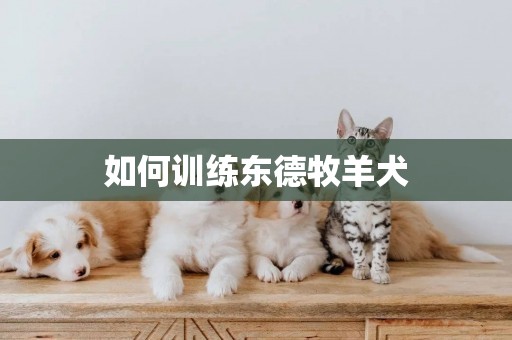 如何訓練東德牧羊犬