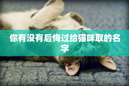 你有沒有后悔過給貓咪取的名字