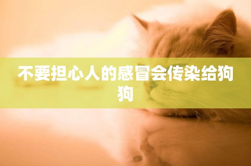 不要擔心人的感冒會傳染給狗狗