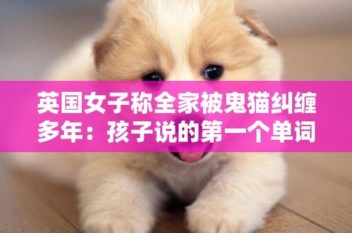 英國女子稱全家被鬼貓糾纏多年：孩子說的第一個單詞就是“貓”