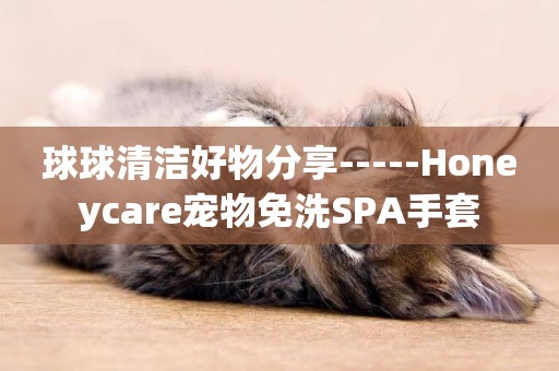 球球清潔好物分享-----Honeycare寵物免洗SPA手套