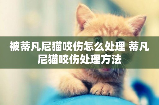 被蒂凡尼貓咬傷怎么處理 蒂凡尼貓咬傷處理方法