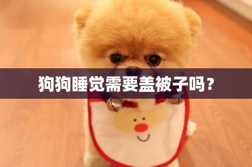 狗狗睡覺需要蓋被子嗎？