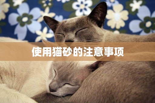 使用貓砂的注意事項