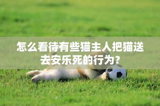 怎么看待有些貓主人把貓送去安樂死的行為？