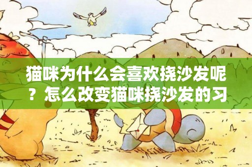 貓咪為什么會喜歡撓沙發呢？怎么改變貓咪撓沙發的習慣？