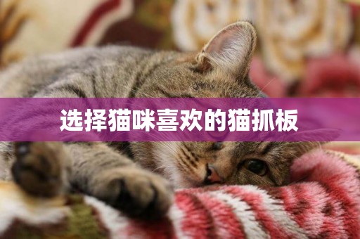 選擇貓咪喜歡的貓抓板