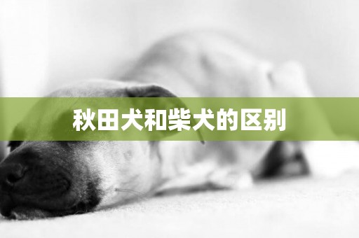 秋田犬和柴犬的區別