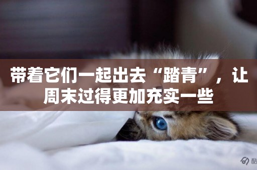 帶著它們一起出去“踏青”，讓周末過得更加充實一些