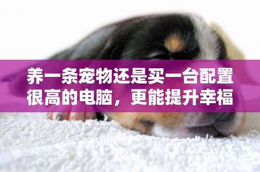 養一條寵物還是買一臺配置很高的電腦，更能提升幸福感呢？