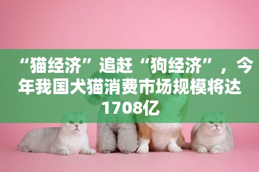 “貓經濟”追趕“狗經濟”，今年我國犬貓消費市場規模將達1708億