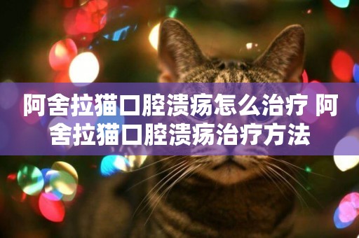 阿舍拉貓口腔潰瘍怎么治療 阿舍拉貓口腔潰瘍治療方法