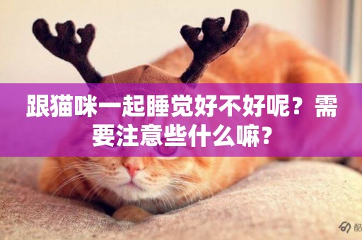 跟貓咪一起睡覺好不好呢？需要注意些什么嘛？