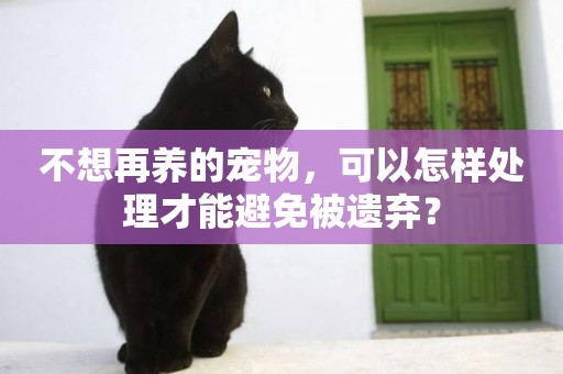 不想再養的寵物，可以怎樣處理才能避免被遺棄？