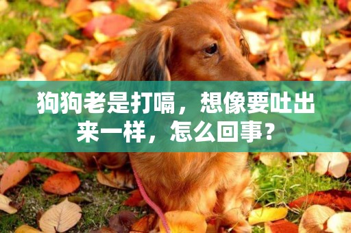 狗狗老是打嗝，想像要吐出來一樣，怎么回事？