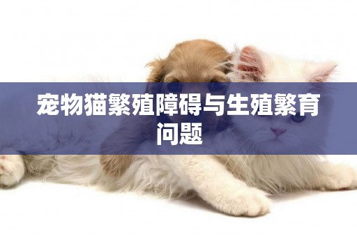 寵物貓繁殖障礙與生殖繁育問題