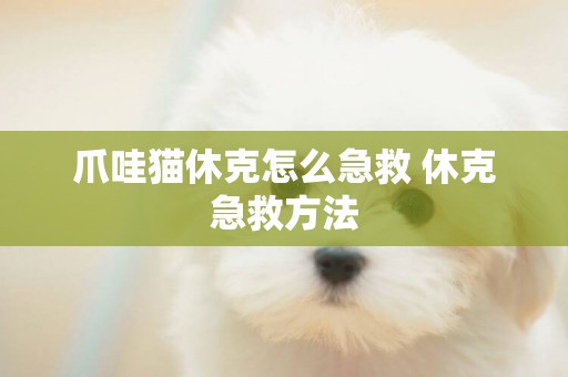 爪哇貓休克怎么急救 休克急救方法