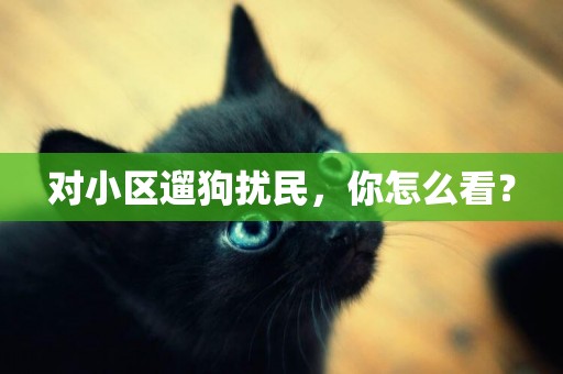 對小區遛狗擾民，你怎么看？