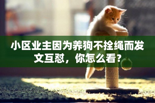 小區業主因為養狗不拴繩而發文互懟，你怎么看？