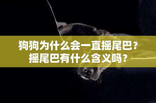 狗狗為什么會一直搖尾巴？搖尾巴有什么含義嗎？