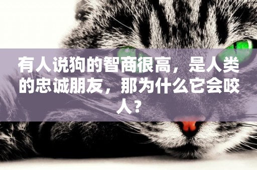 有人說狗的智商很高，是人類的忠誠朋友，那為什么它會咬人？