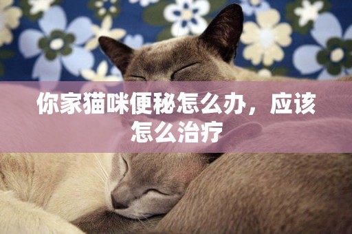 你家貓咪便秘怎么辦，應該怎么治療