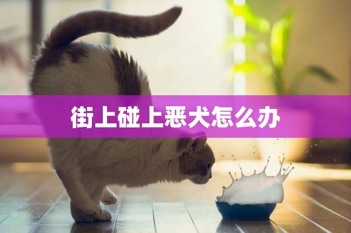 街上碰上惡犬怎么辦